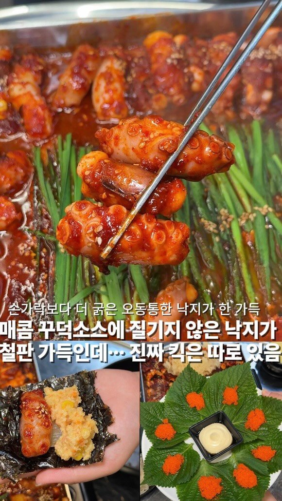bucheon_today 게시물 이미지: 극세사 같은 질긴 낙지는 저리 가라!! 🐙 
손가락보다 더 오동통한 낙지가...