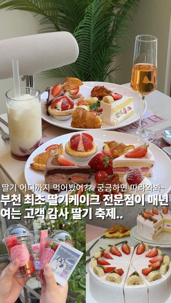 bucheon_today 게시물 이미지: 🍓 딸기 어디까지 먹어봤어? 팔색조 같은 딸기의 변신..

부천 최초 딸기 케이크...