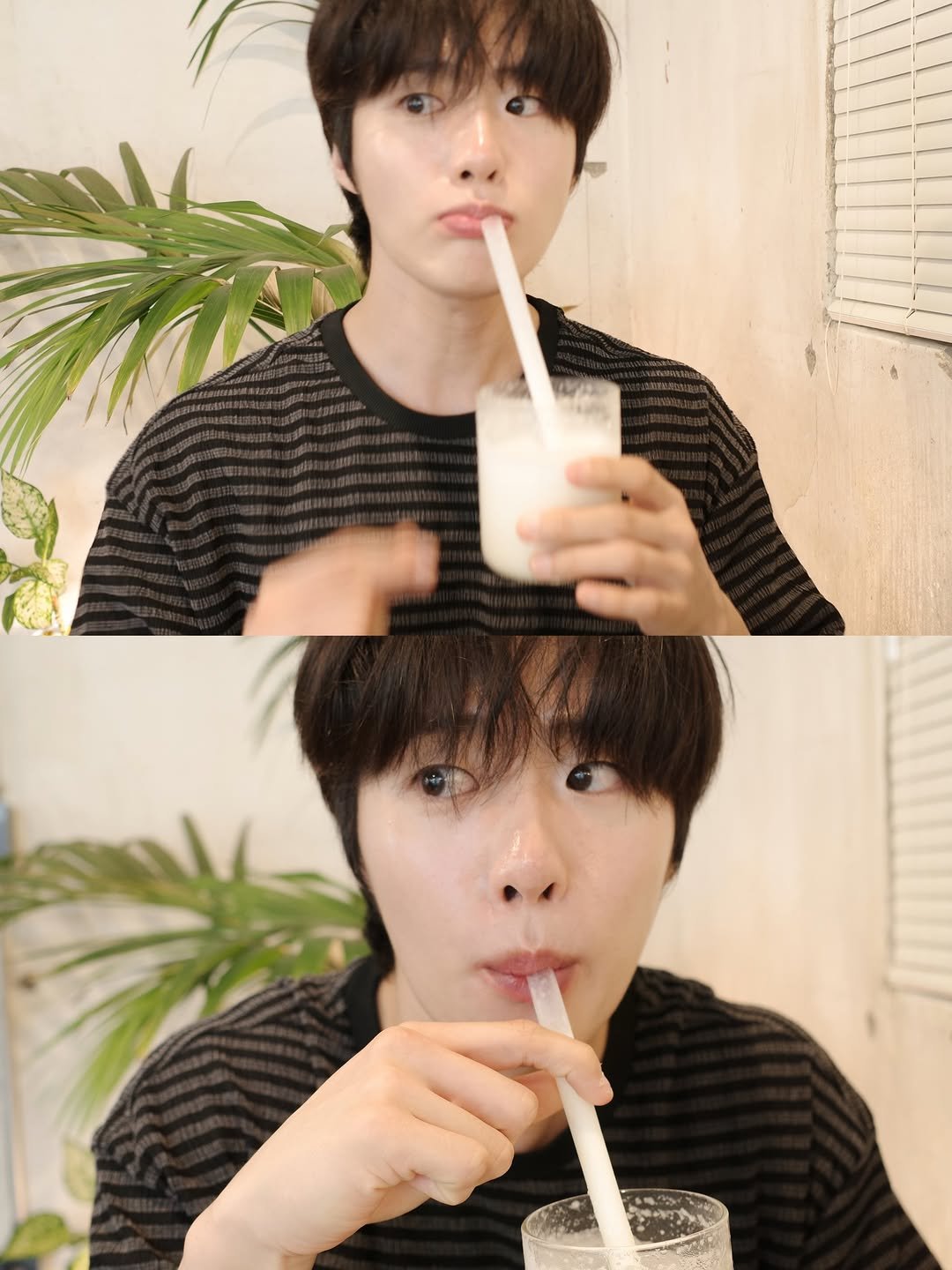 Photo by 조잽미 on April 24, 2026. May be an image of chocolate milk and text.