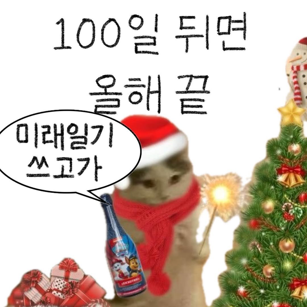 Photo by bunny on September 23, 2025. May be an image of Abyssinian cat, wine bottle and text that says '100일 100 뒤면 올해끝 끝 0 미래일기 쓰고가'.
