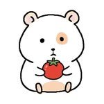 moeumi_log 프로필 사진