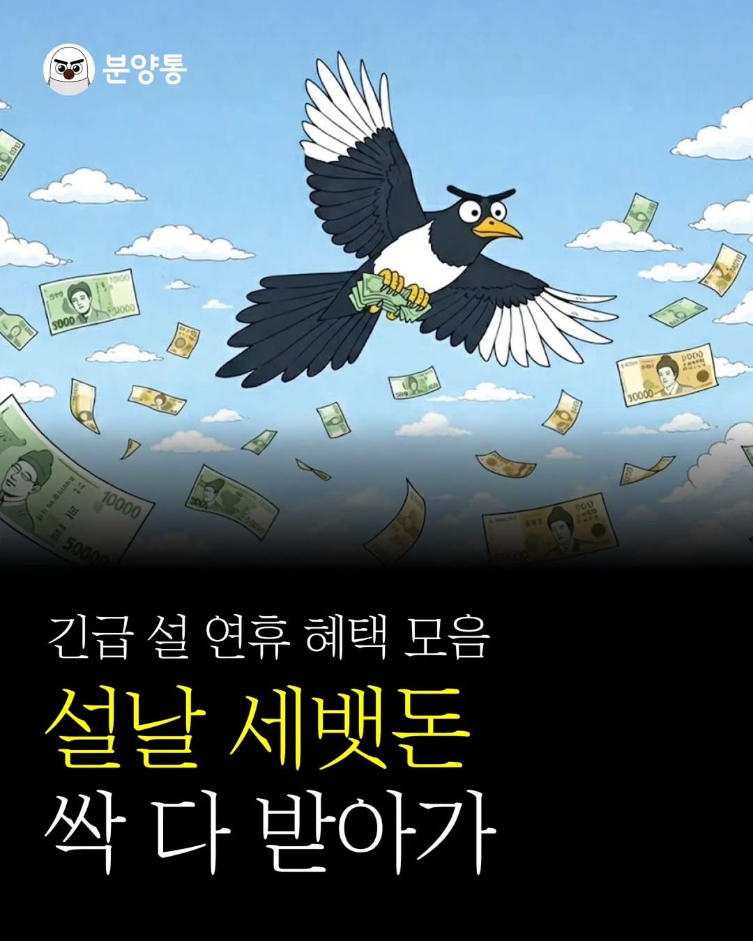 Photo by 부동산 알리미 분양통 on February 12, 2026. May be an image of ‎hornbill, poster, book and ‎text that says '‎פים 분양통 5000 e עחם 10000- 긴급 설 연휴 혜택 모음 설날 세뱃돈 다 받아가‎'‎‎.