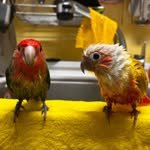 judo.u.mangddu 프로필 사진