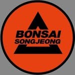 bonsai_songjeong 프로필 사진