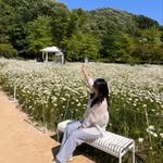 allso_travel 프로필 사진