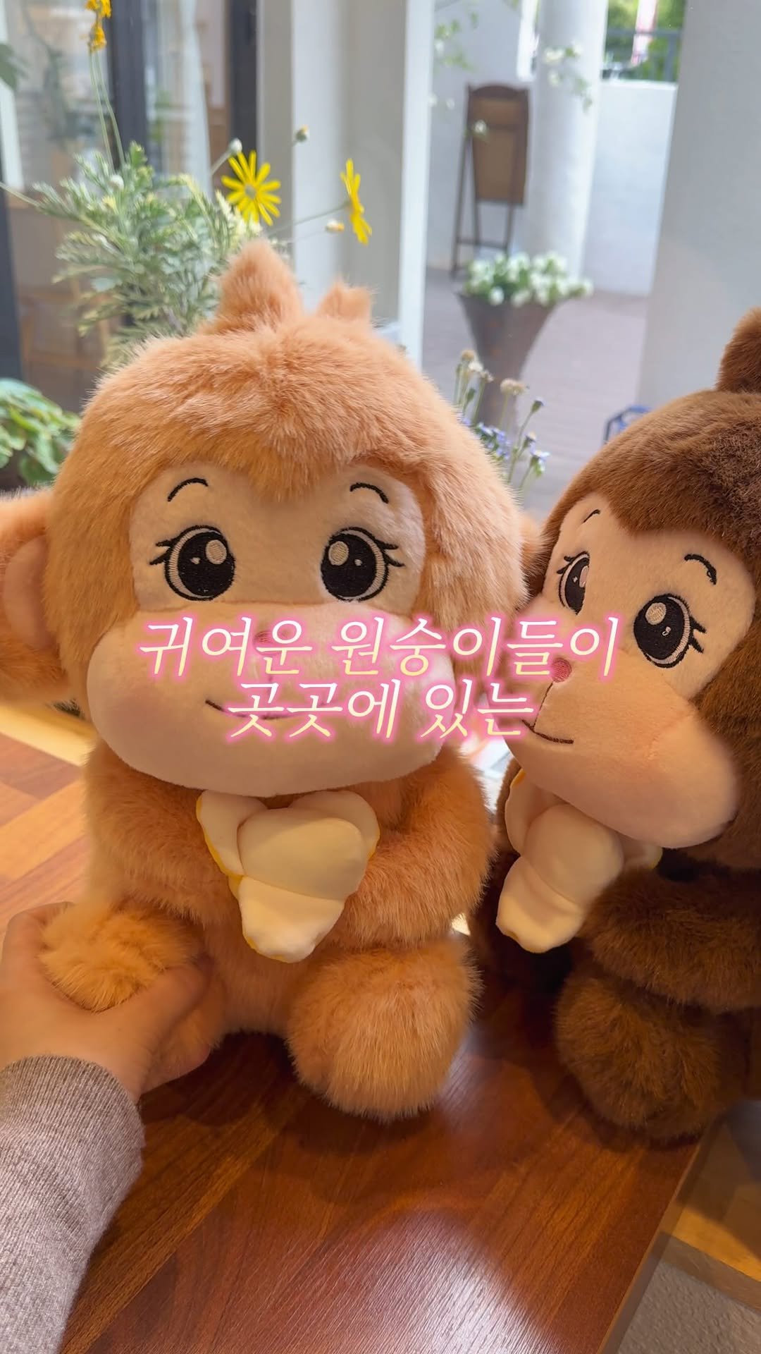 busan.jjanghwa 게시물 이미지: 동래 롯데백화점 근처 카페찾을때!
매일 만드는 빵이랑 커피가 있는 곳이에요
주택을...