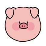 ddung_chi_busan 프로필 사진