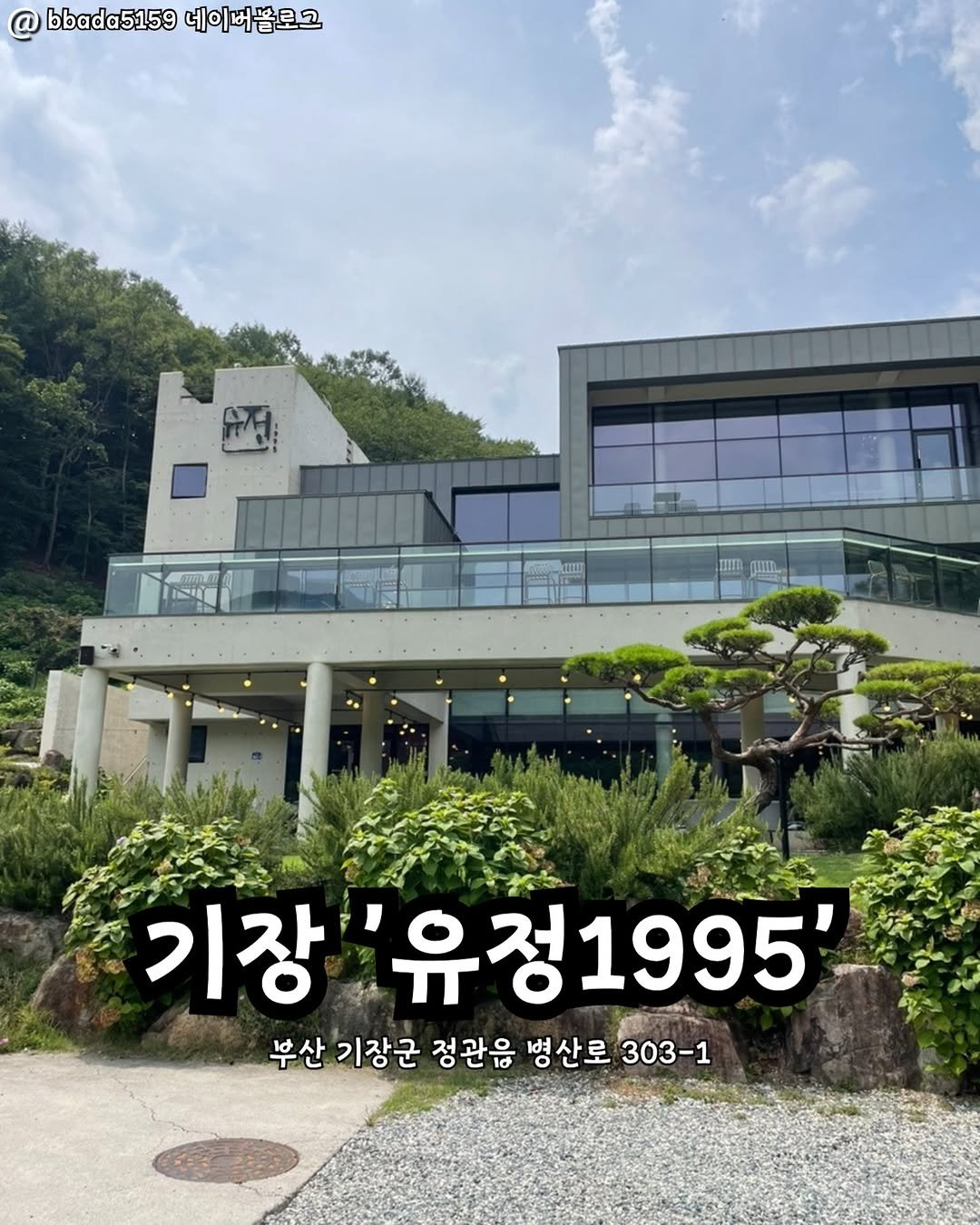 Photo by 부산맛집 부산핫플 서면맛집 해운대맛집 광안리맛집 기장맛집 부산데이트 부산나드리 on September 25, 2025. May be an image of Gyeongbokgung Palace and text that says 'bbada5159 네이버블로그 IIITR JUII 기장 유정1995' 부산 기장군 정관음 병산로 303-1'.