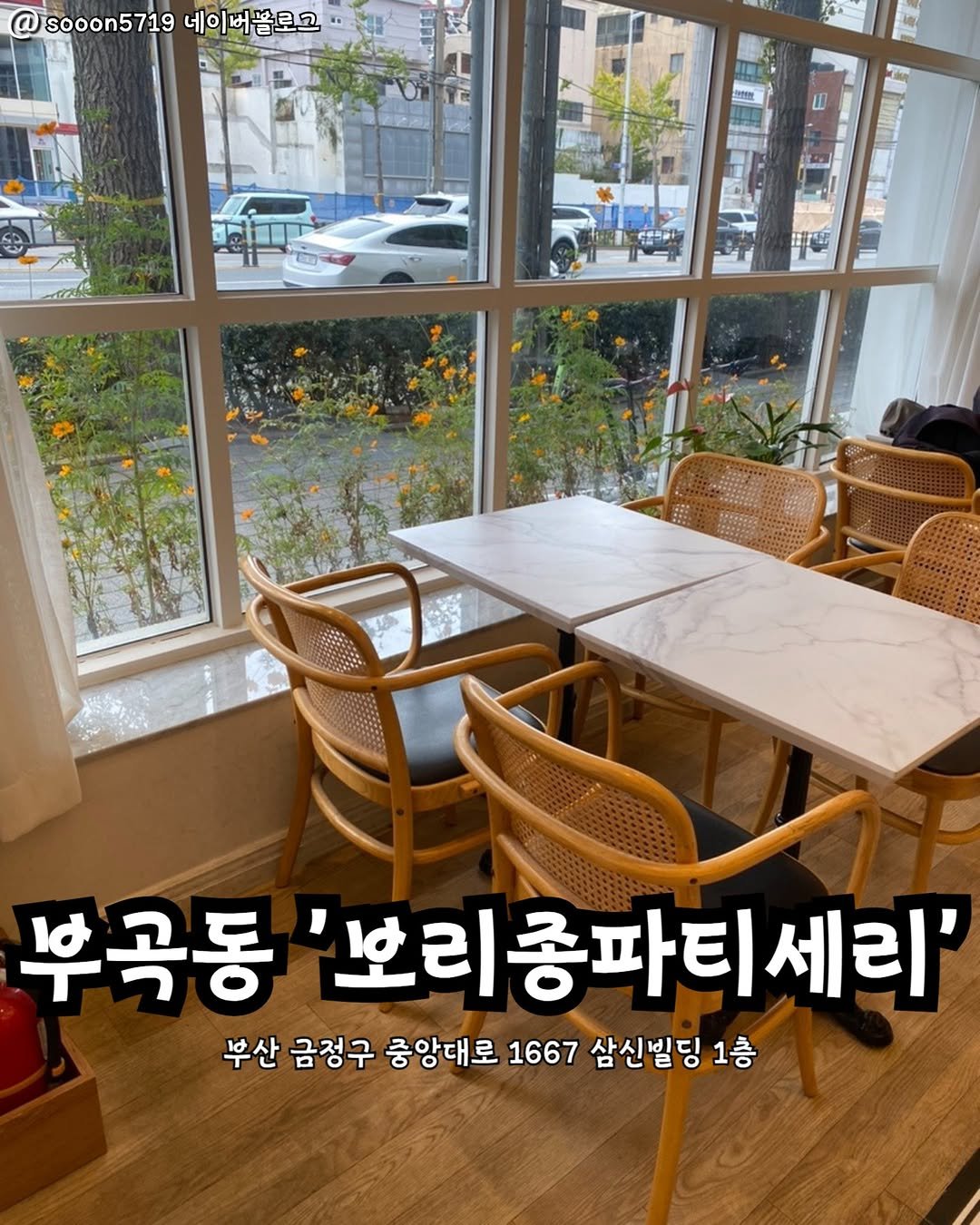 Photo by 부산맛집 부산핫플 서면맛집 해운대맛집 광안리맛집 기장맛집 부산데이트 부산나드리 on November 11, 2025. May be an image of text that says 'sooon5719 @sooon5719네이버꿈로고 네이 네이버블로고 부곡동 '보리종파티세리' 세리' 부산 금정구 중앙대로 1667 삼신빌딩 1층'.