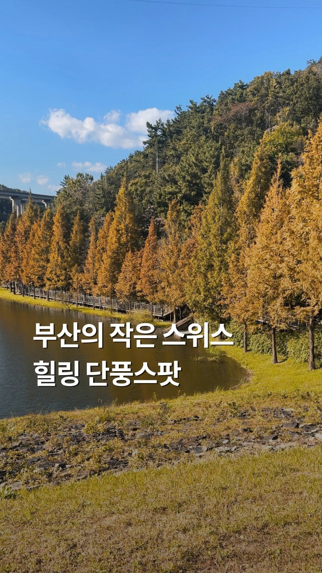 busan_girlfriend 게시물 이미지: (실시간) 사람없는 한적한 단풍놀이하기 좋은 곳

⭐️11/1일 기준 무보정...