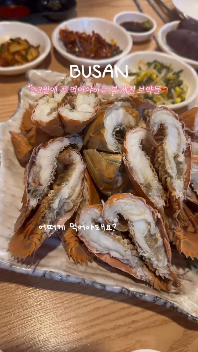 busan_girlfriend 게시물 이미지: 한 달만 지나면 못먹어요 지금 얼른 드세요🦐✔️

부산에 몇 개 없는 
새조개랑...