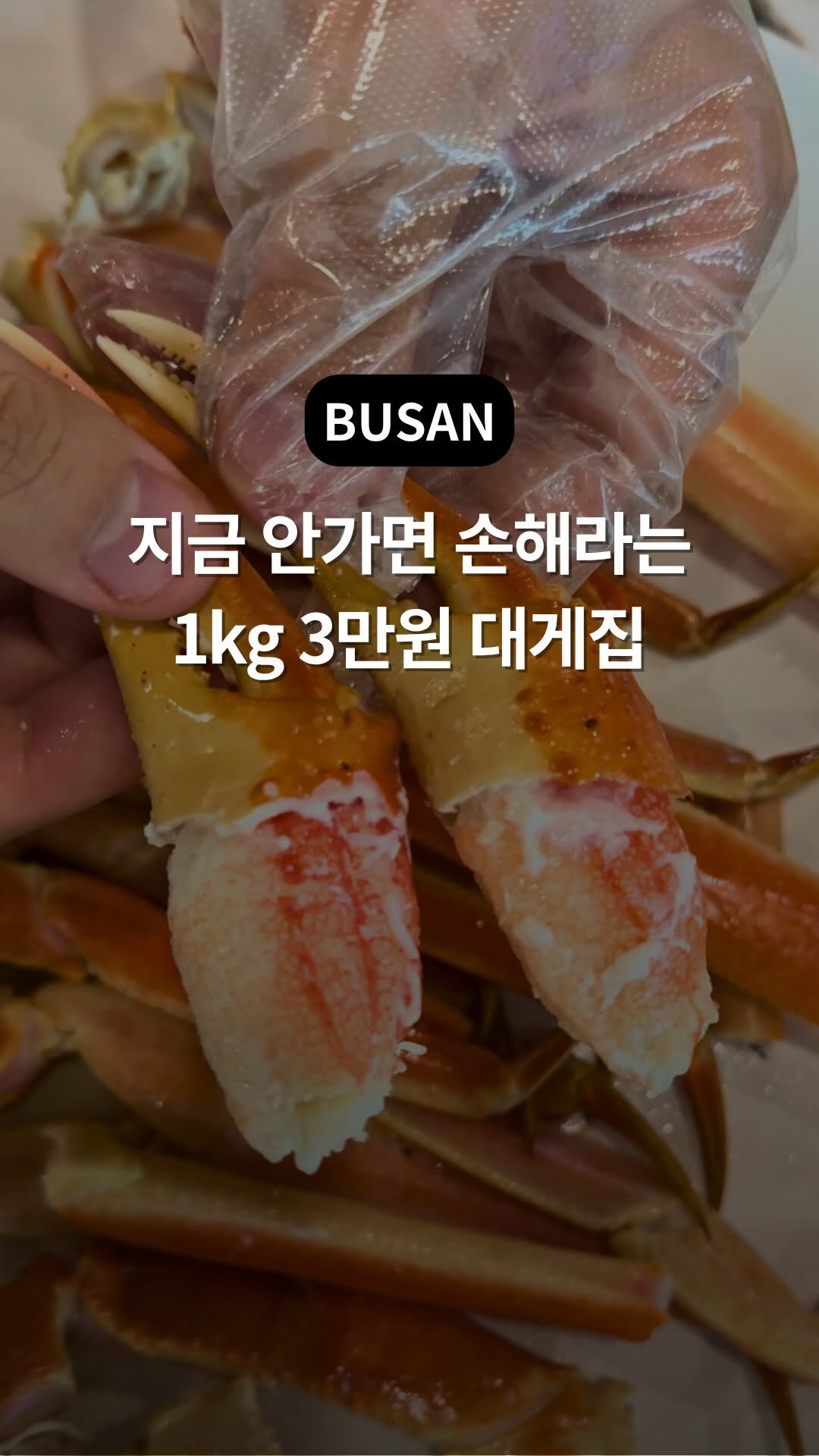 busan_girlfriend 게시물 이미지: 6월 한 달만 대게 3만원대‼️ 여기 또 이벤트하네요 얼른 가세요 ㅎㅎㅎ
여기가...