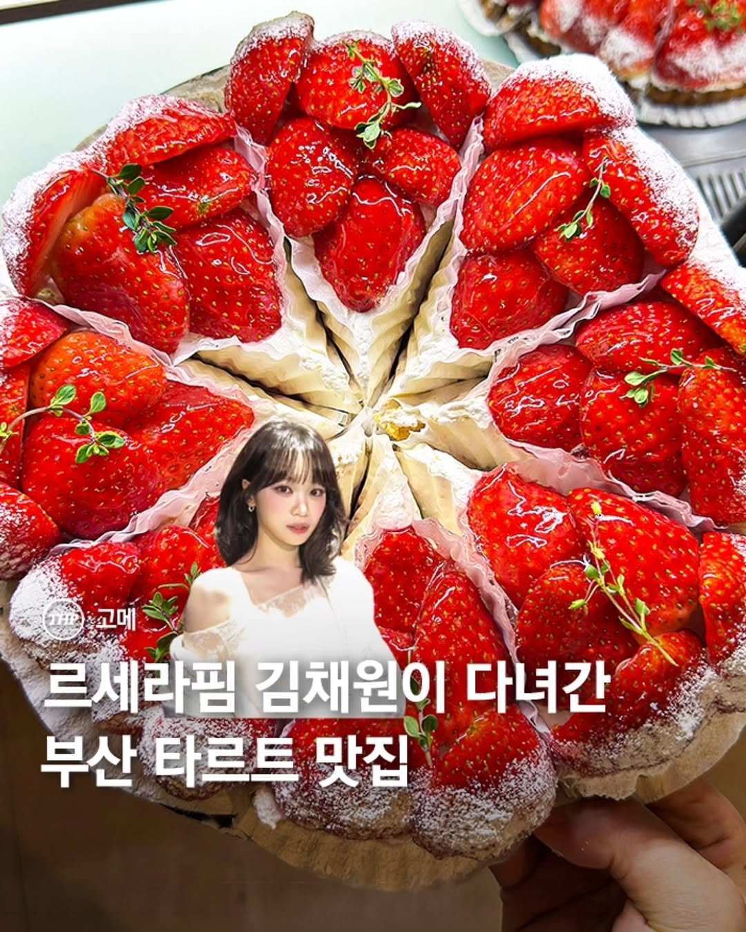 Photo shared by 부산더핫플 부산맛집 부산카페 부산여행 부산가볼만한곳 on February 27, 2026 tagging @10000won_2. May be an image of ‎cake, strawberry, pie, cheesecake, fruitcake and ‎text that says '‎مم_ل 고메 르세라찜 김채원이 다녀간 부산 타르트 맛집‎'‎‎.