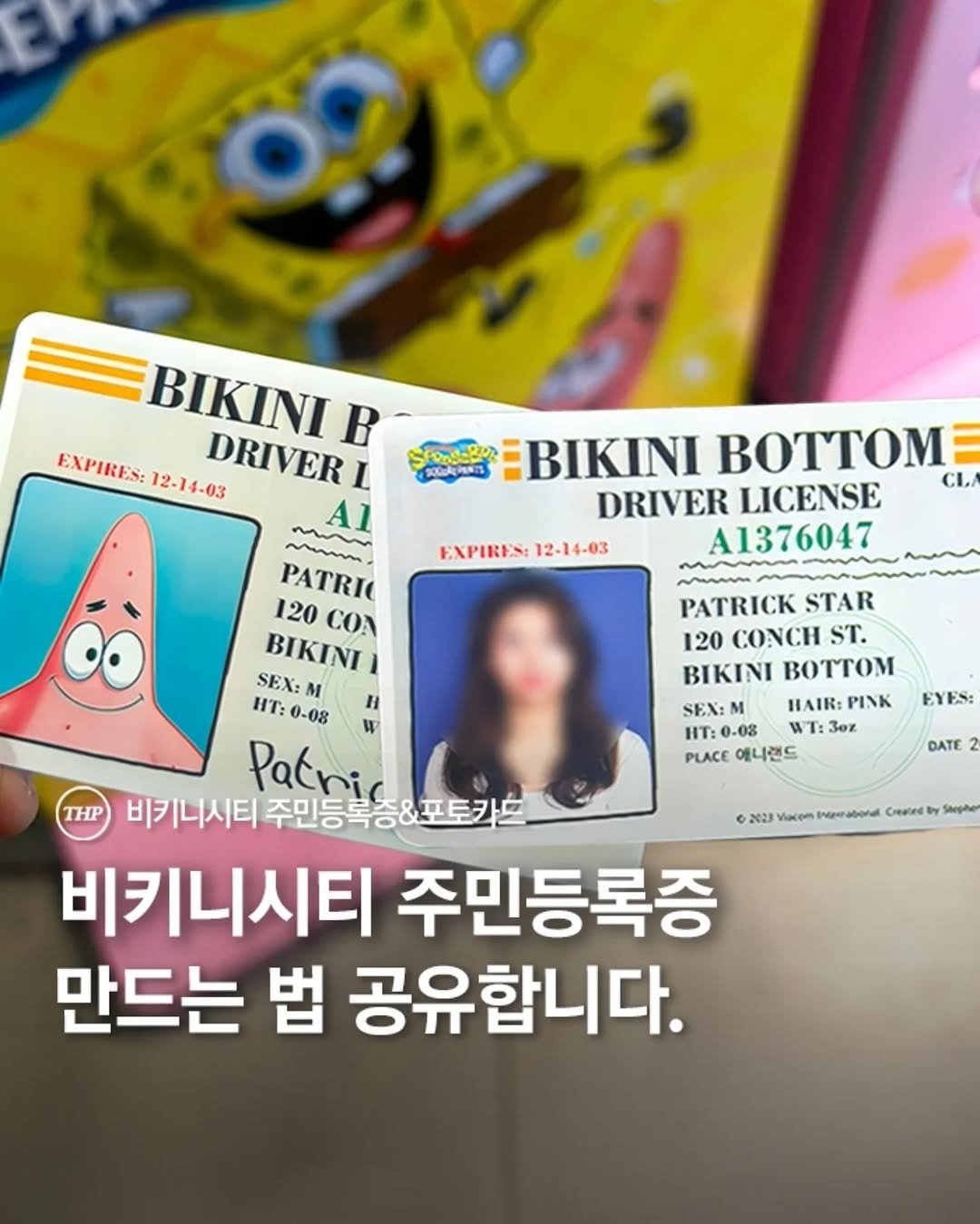 Photo shared by 서울더핫플 서울맛집 서울카페 서울여행 서울가볼만한곳 on March 02, 2026 tagging @busan_thehotple, and @popcon_daewonmedia. May be an image of text that says 'SICOAEIINIS SPR EBIKINI BOTTOM CL/ DRIVER LICENSE EXPIREN EXPIREN:12-14-03 12-14-03 A1376047 BIKINI B EXPIRES: 12-14-03 DRIVER L Al mm PATRIO 120 CON BIKINI SEX: M ИT: ИT:0-08 0-08 H W THP 비키니시티 Patricifene Pacri 주민등록증&포토카! 비키니시티 주민등록증 만드는 법 공유합니다. PATRICK STAR 120 CONCH ST. BIKINI BOTOM SEX: M HAIR: PINK HT:0-08 0-08 WT: Sez PLACE PLACE에니랜드 에니랜드 EYES: DATE 2023 Vacem 4amr Created Stegiher'.
