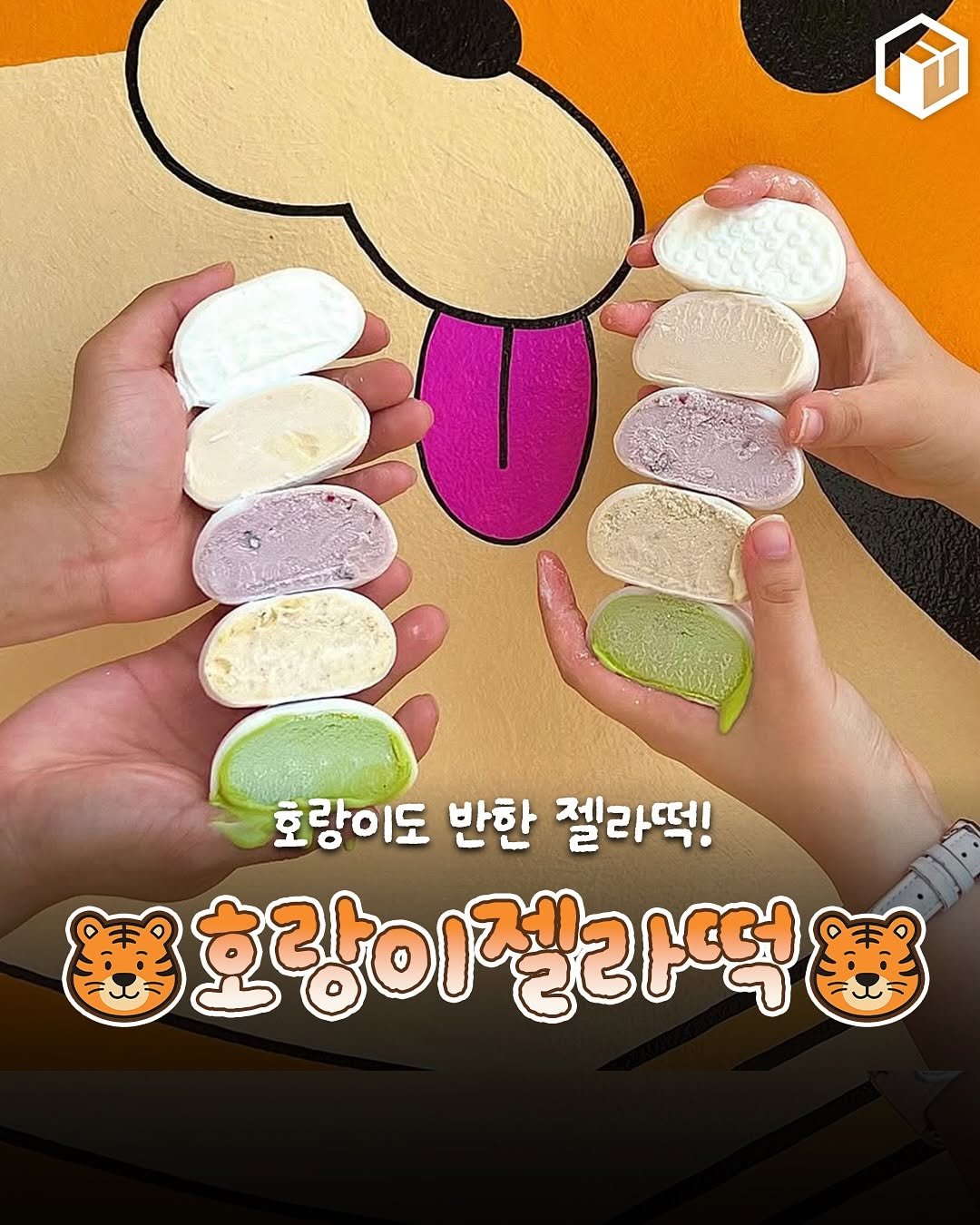 Photo by 부산톡톡 on August 15, 2025. May be an image of gelato, wafer and text that says '호랑이도 반한 젤라떡! 3호랑이젤라떡 떡'.