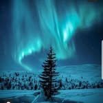 giants_sadad 프로필 사진