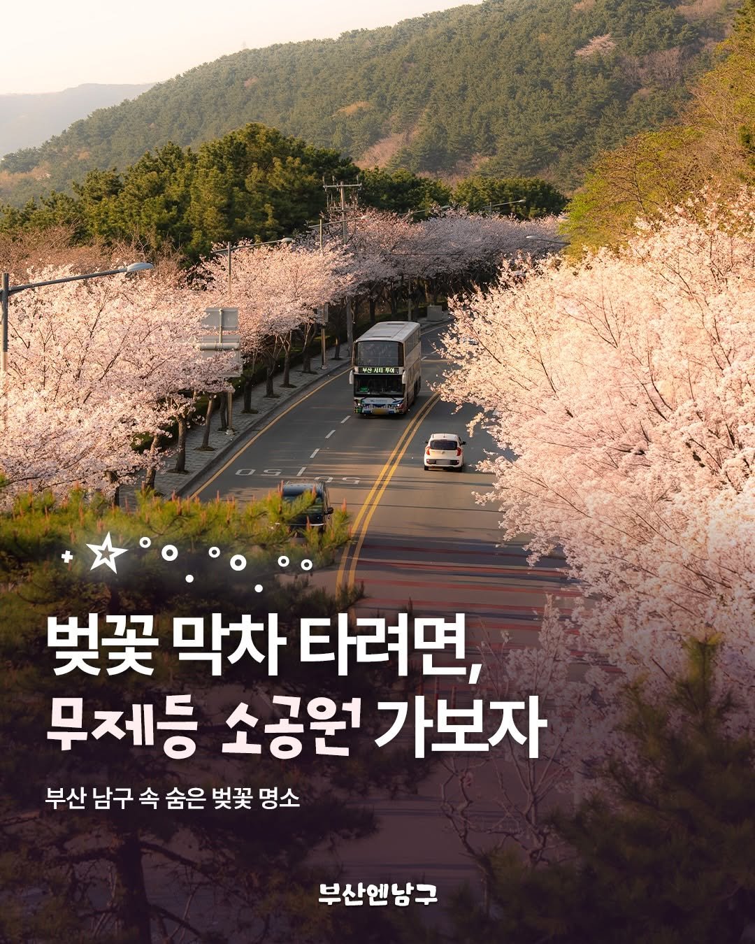 Photo by 부산엔남구 on April 05, 2026. May be an image of text that says 'ማለጠረቅያ 含 4044 044 벚꽃 막차 타려면, 무제등 소공원 가보자 부산 남구 속 숨은 벚꽃 명소 부산엔남구'.
