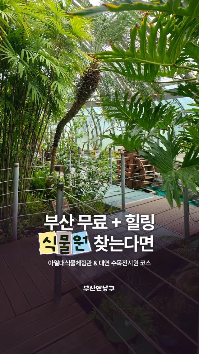 busannnamgu 게시물 이미지: 부산 남구에 있는 무료 + 힐링 코스 여깄음!💟
부산...
