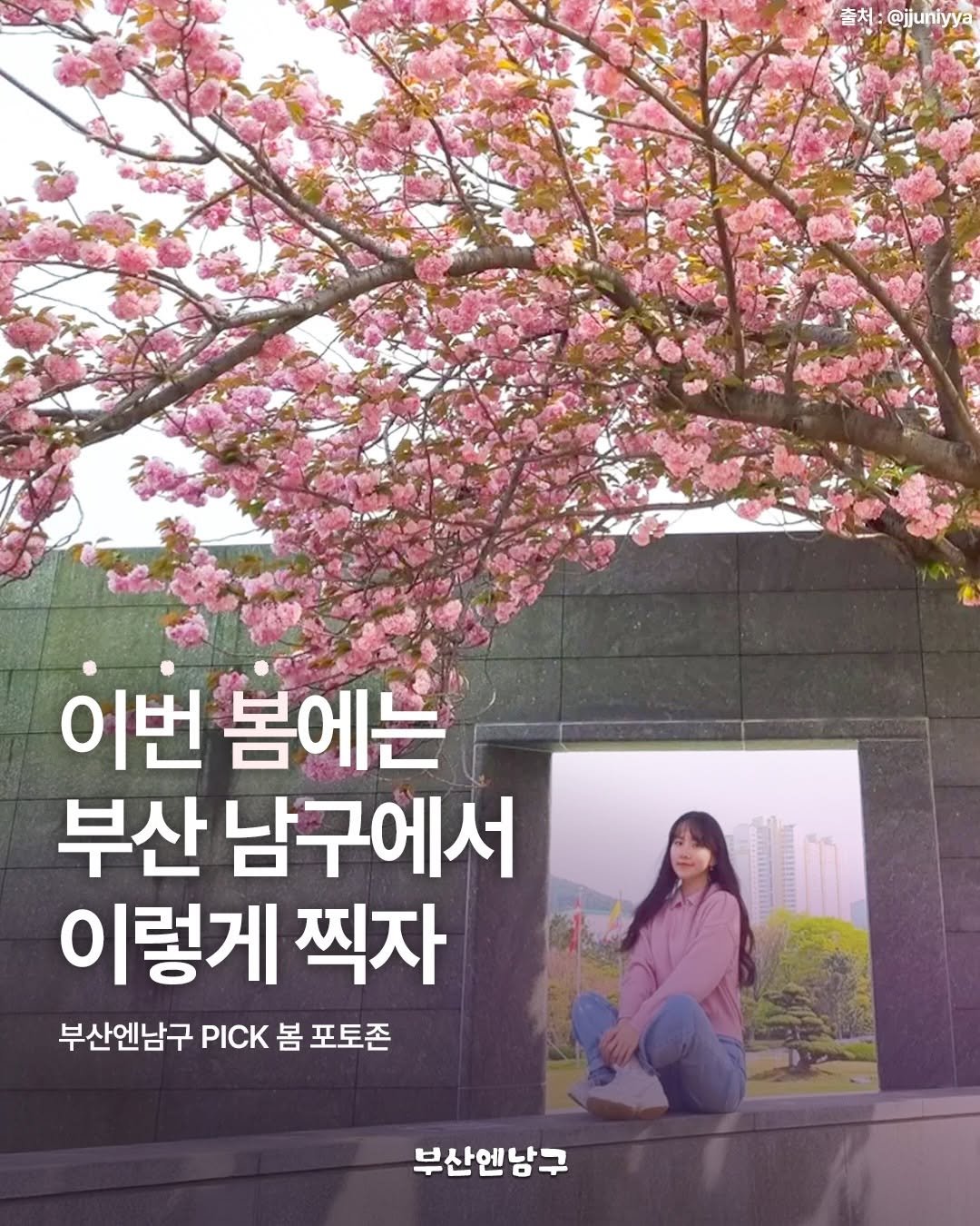 Photo by 부산엔남구 on March 27, 2026. May be an image of poster, baby's-breath and text that says '출처 @jjuniyya 이번 봄에는 부산 남구에서 이렇게 찍자 부산엔남구 부산엔남구PK봄포토존 PICK 봄 포토존 부산엔남구'.