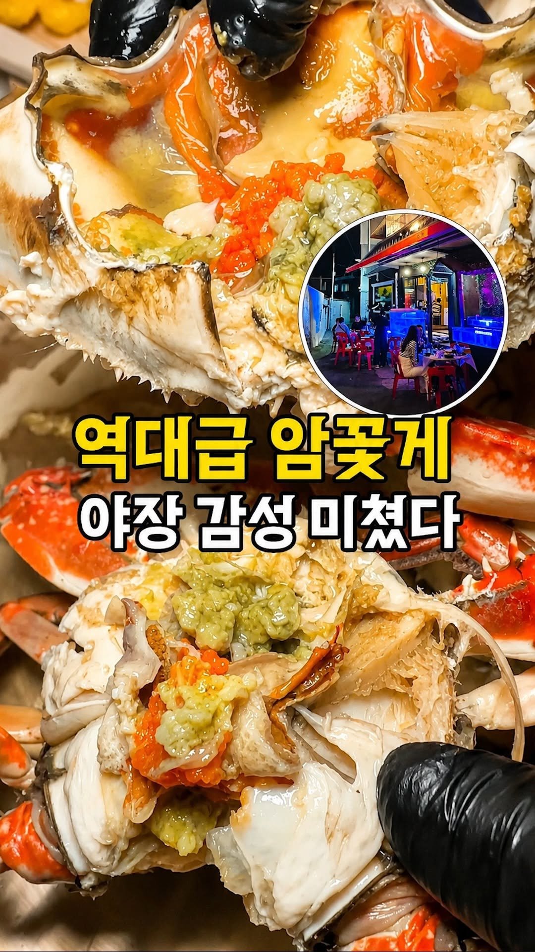 busanplanet 게시물 이미지: 야장 + 알 꽉 찬 암꽃게 조합 미쳤다🔥

지금 여기서
제철 알배기 암꽃게를 먹을...