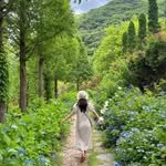 travel_anyong 프로필 사진