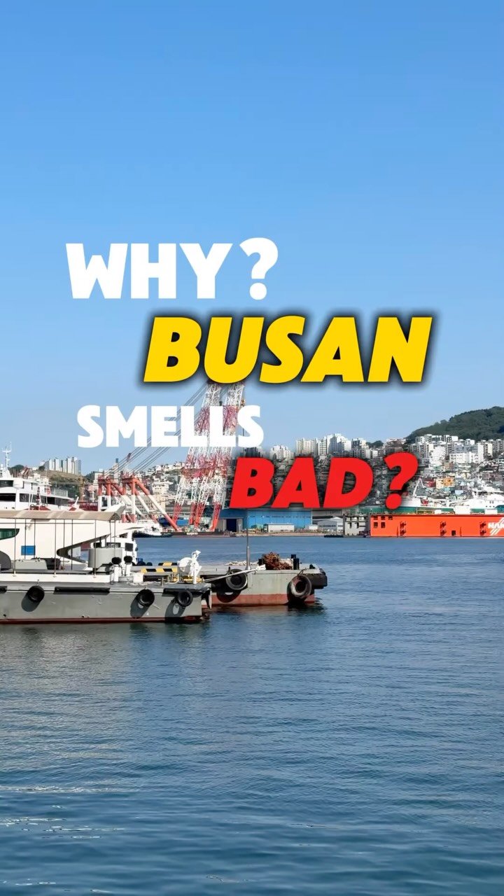 busansaeki 게시물 이미지: Don’t get me wrong, I love Busan but it...