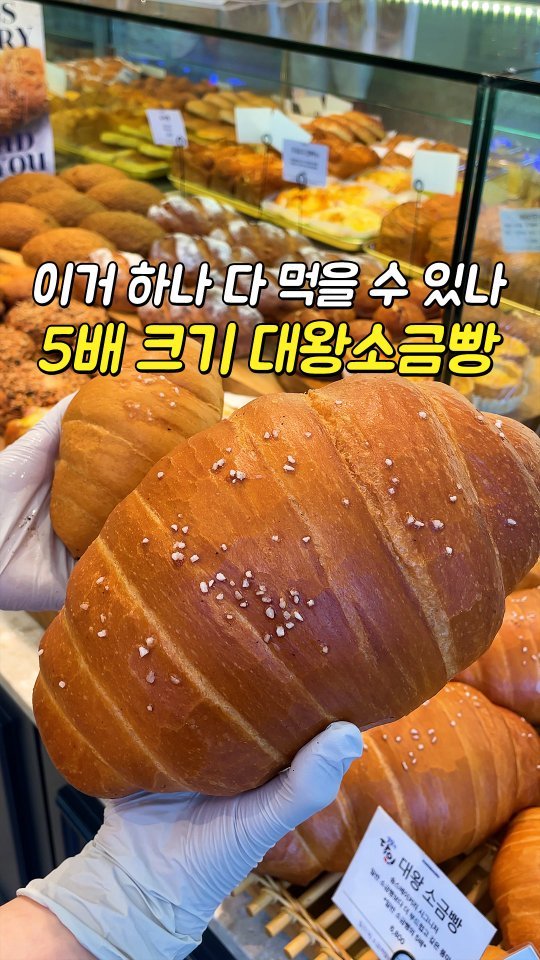 busansomang 게시물 이미지: 세상에... 이 왕건이(?)는 대체 뭔가요⁉
일반 소금빵의 5배 크기❗
손바닥보다...