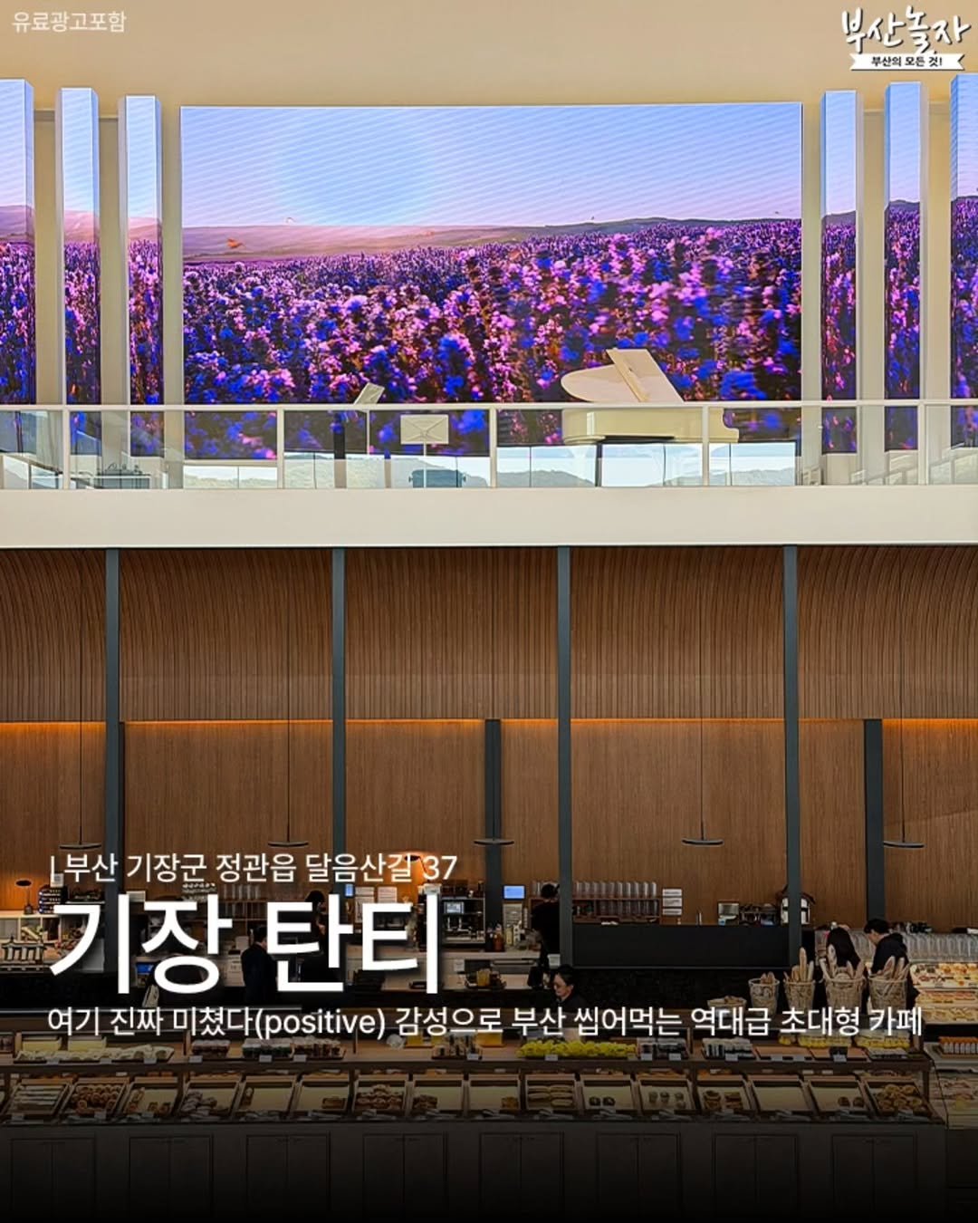 Photo by 부산놀자 [부산맛집/부산여행/부산카페 ] on November 09, 2025. May be an image of text that says '유료광고포함 부산놀자 부산의 부산의모든것! 든젖! 모든 .부산 기장군 정관읍 달음산길'37 기장 탄티 여기 진짜 미쳤다( 미쳤다(.o. positive) 감성으로 부산 씹어먹는 역대급 초대형 카페 고두는'.