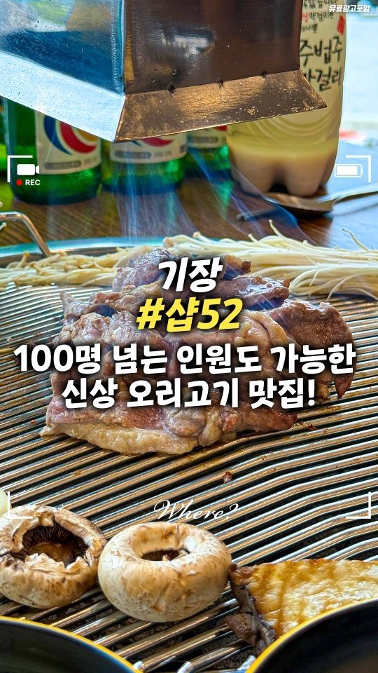 busanwhere__ 게시물 이미지: 100명 넘는 인원도 수용 가능한 신상 오리고기 맛집!
기장 #샵52

기장에...