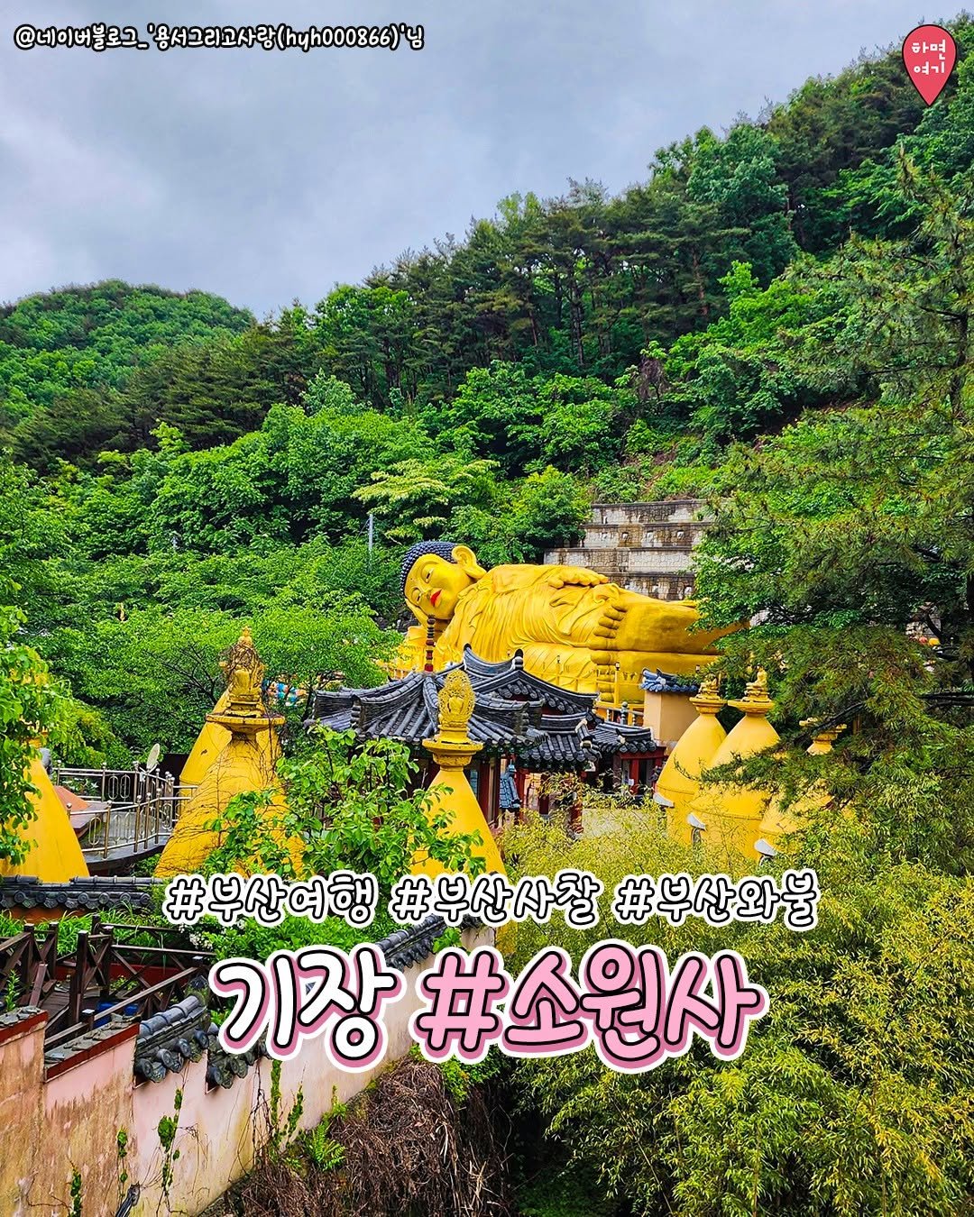 Photo by 부산하면여기[부산맛집/부산카페/부산여행/부산핫플] on January 02, 2026. May be an image of tiger, poster, temple, outdoors and text.