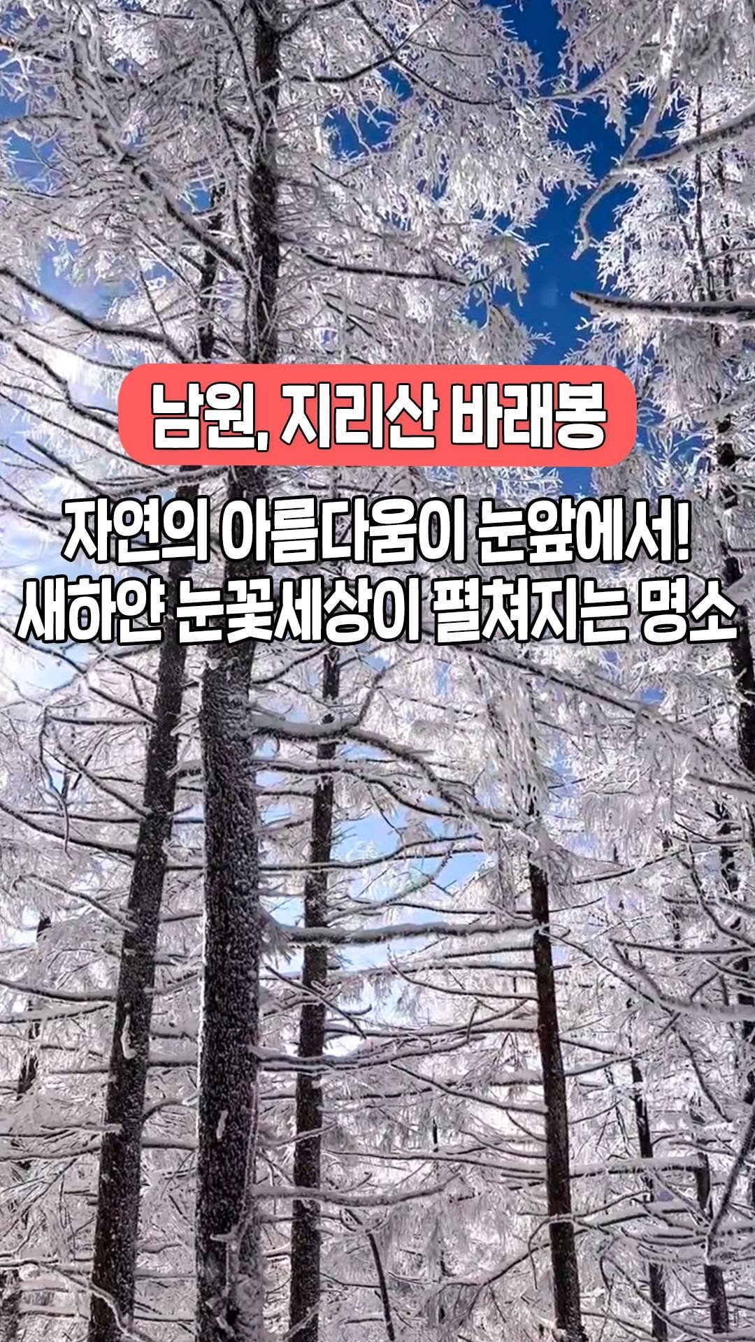 busanyogi 게시물 이미지: 파란 하늘 아래 펼쳐지는 남원의 눈꽃 세상!

눈부시게 아름다운
새하얀 눈꽃 세상이...