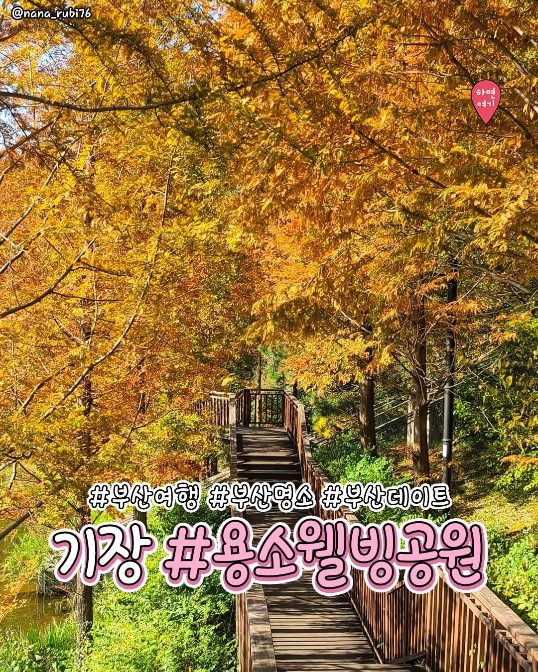 Photo by 부산하면여기[부산맛집/부산카페/부산여행/부산핫플] on November 11, 2025. May be an image of outdoors and text that says '@nana_rubi76 ubi76 @nana_ 하면 の山っ อส่า #부산여행 #부산명소 #부산데이트 기장 #용소웰빙공원 스800형 త్ర'.