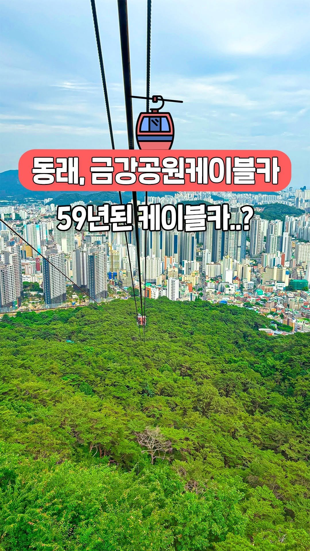 busanyogi 게시물 이미지: 부산 10분 만에 정복하는 법!
동래 #금강공원케이블카
1966년에 개장해...