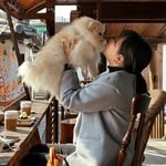 _jjjeong_a 프로필 사진