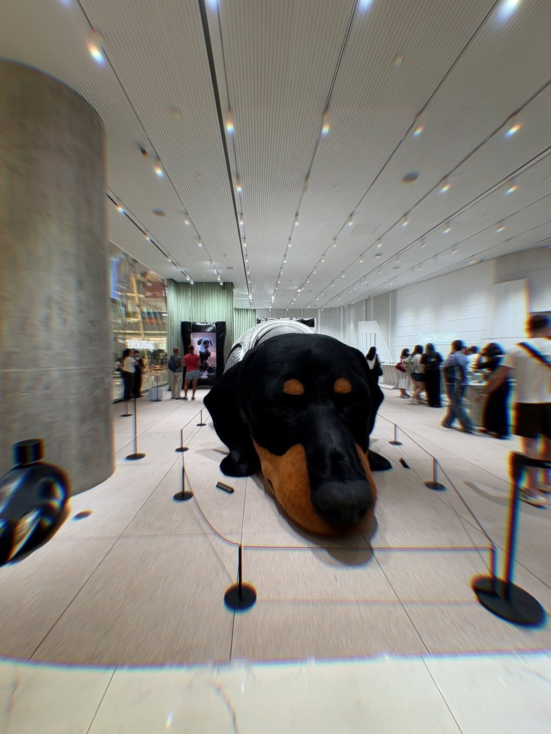 Photo by 배지연 on December 15, 2025. May be an image of text.