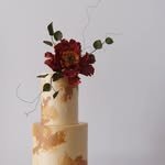 clody_cake 프로필 사진