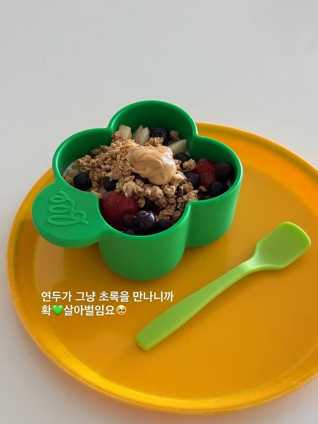 Photo by 바이율 | 박진경 on September 23, 2025. May be an image of fruit, fruit cocktail, granola, cereal, porridge, yogurt and text that says 'ਤ 연두가 그냥 초록을 만나니까 확 살아벌임요'.