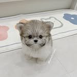 beberehome 프로필 사진