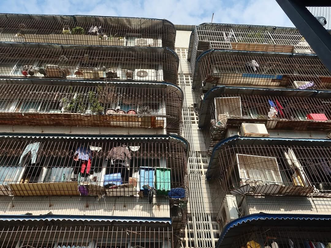 Photo by 임지노 on July 30, 2025. May be an image of fire escape.