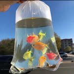 hedong_liang 프로필 사진