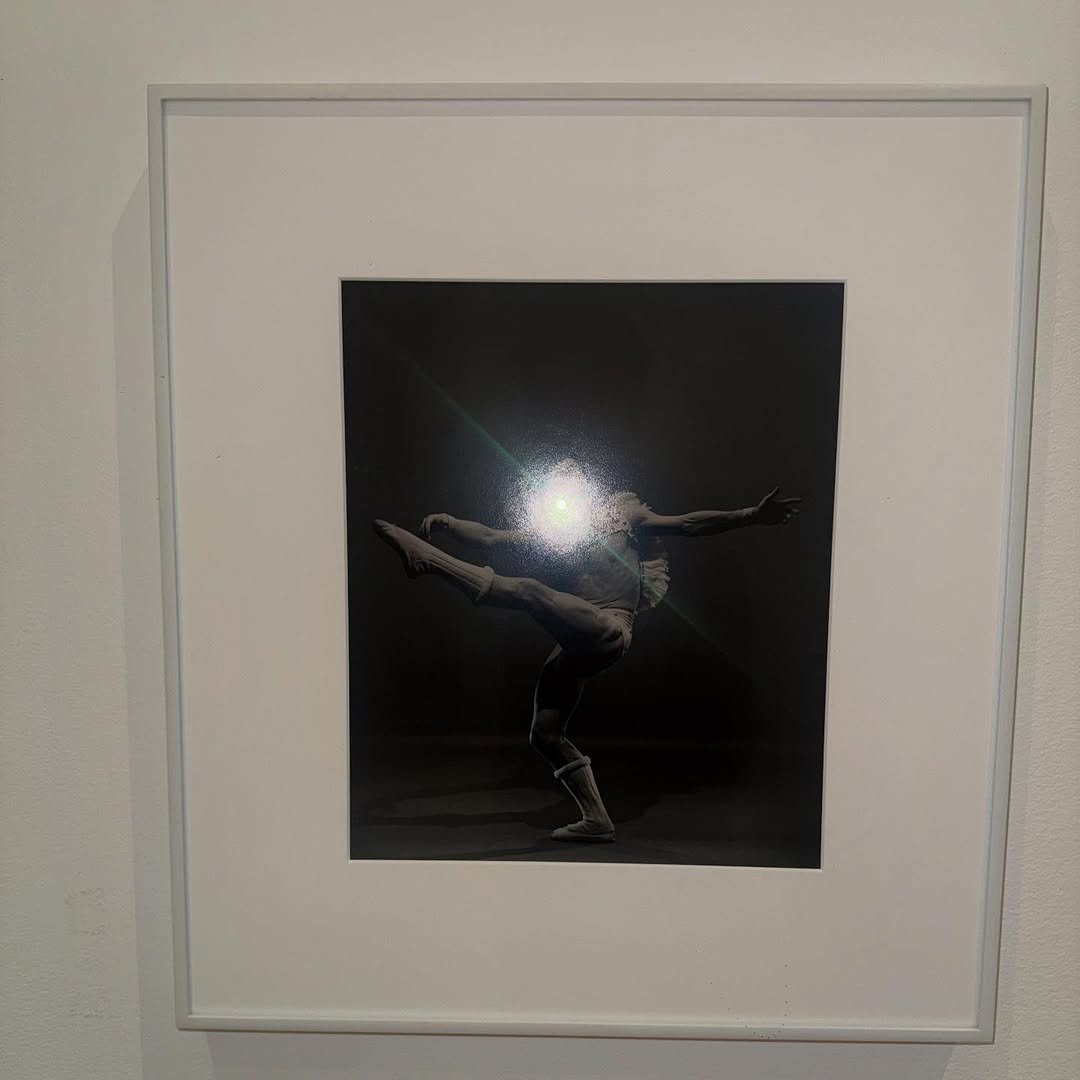 Photo by 임지노 on February 14, 2026. May be art of dancing, picture frame, shadow box and text.