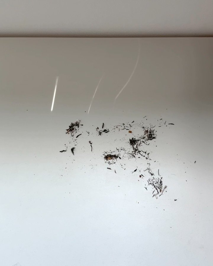 bymiroom 게시물 이미지: 숙제하며 쓰고 지우고
그림 그리고 지우고
책상과 바닥에 지우개...