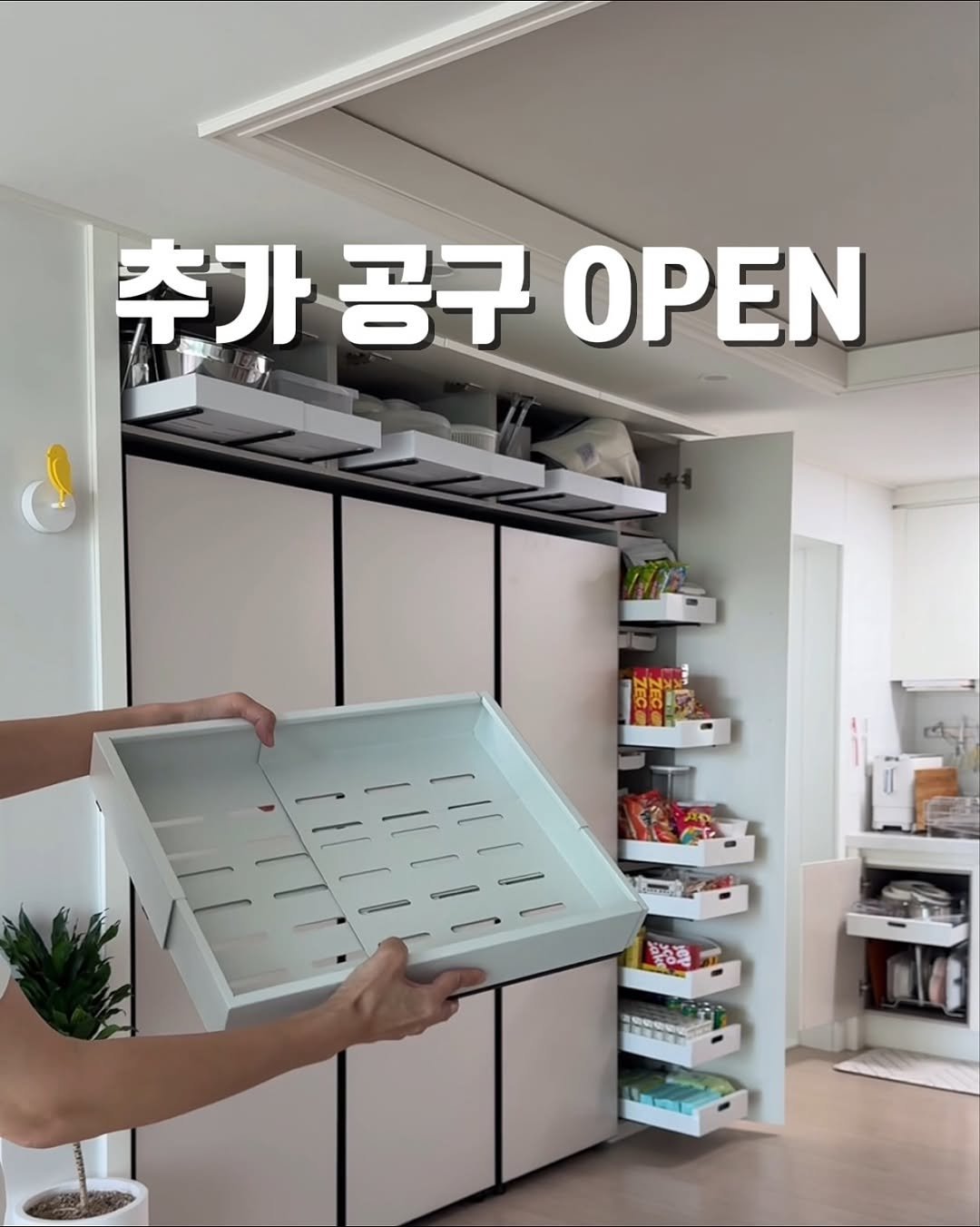 Photo by 바이 미룸 ::: 살림팁 & 정리팁 on September 24, 2025. May be an image of 1 person, cabinet, refrigerator, kitchenware and text that says '추가공구 추가 추가공구OPEN 가공구야 공구 ΟΡΕΝ 落語 1'.