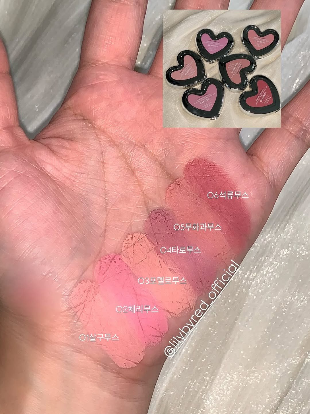 Photo by 청주메이크업 바이윤메이크업 소진실장 on August 27, 2025. May be an image of one or more people, makeup, lipstick, heart, pallette, cosmetics and text that says 'ప 06석류무스 05무화과무스 04타로무스 03포멜로무스 Ολζα official 02체리무스 @ltaa Elilybyred 이1살구무스'.