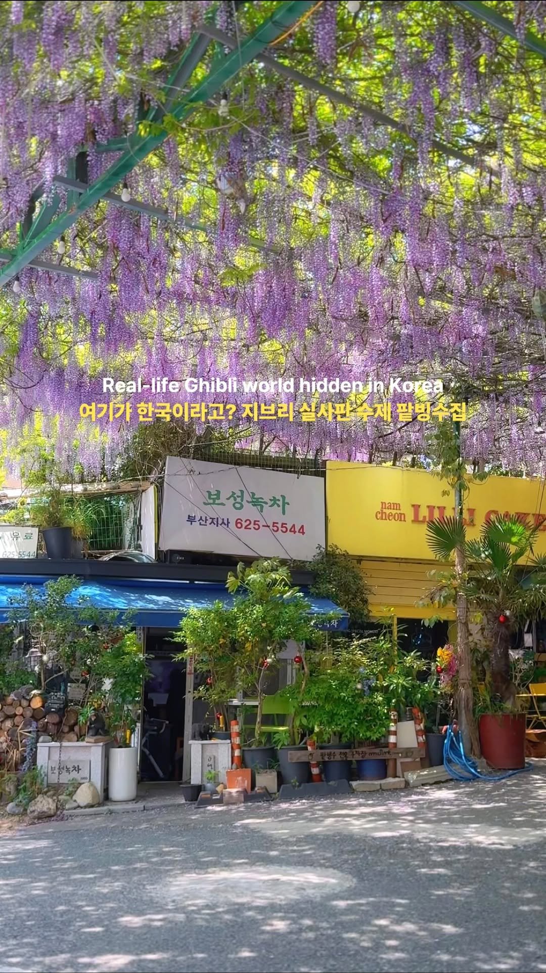 c____chae 게시물 이미지: 여기가 한국이라고? 지브리 실사판 팥빙수집🍧🐈🌿

오랜 시간 동네 주민들에게...