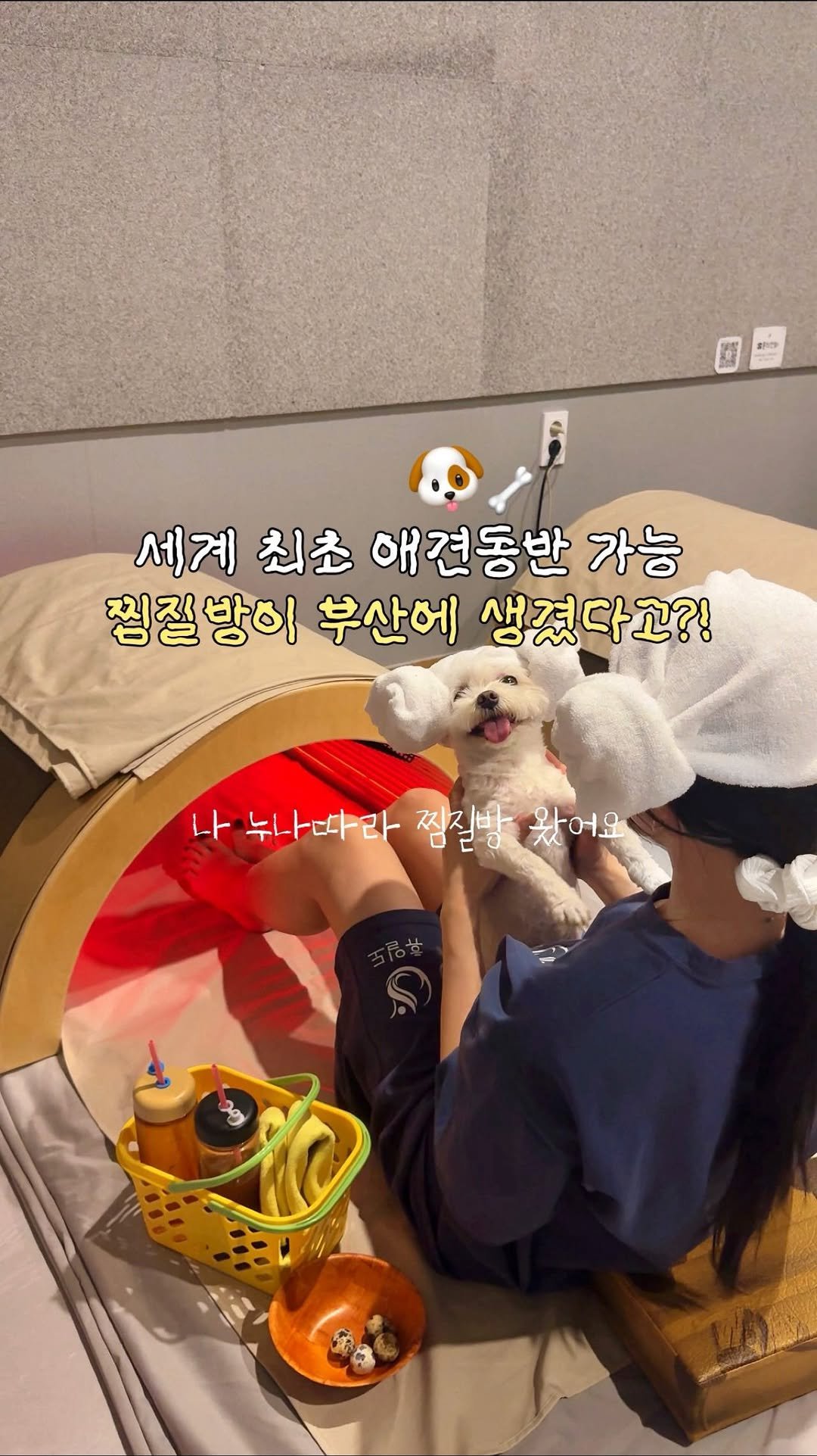 c____chae 게시물 이미지: 전세계 최초 >>애견동반 찜질방<<이 부산에 상륙 했다고?🔥(본문 아래 무료 입장권...