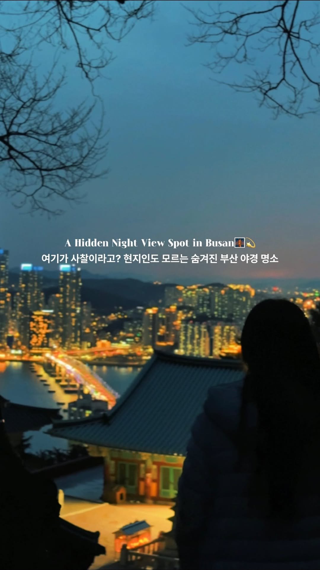 c____chae 게시물 이미지: (저장)현지인도 모르는 부산의 숨은 야경 명소🌉💫

부산의 과거와 현재가 한눈에...