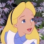 changwon_elly 프로필 사진