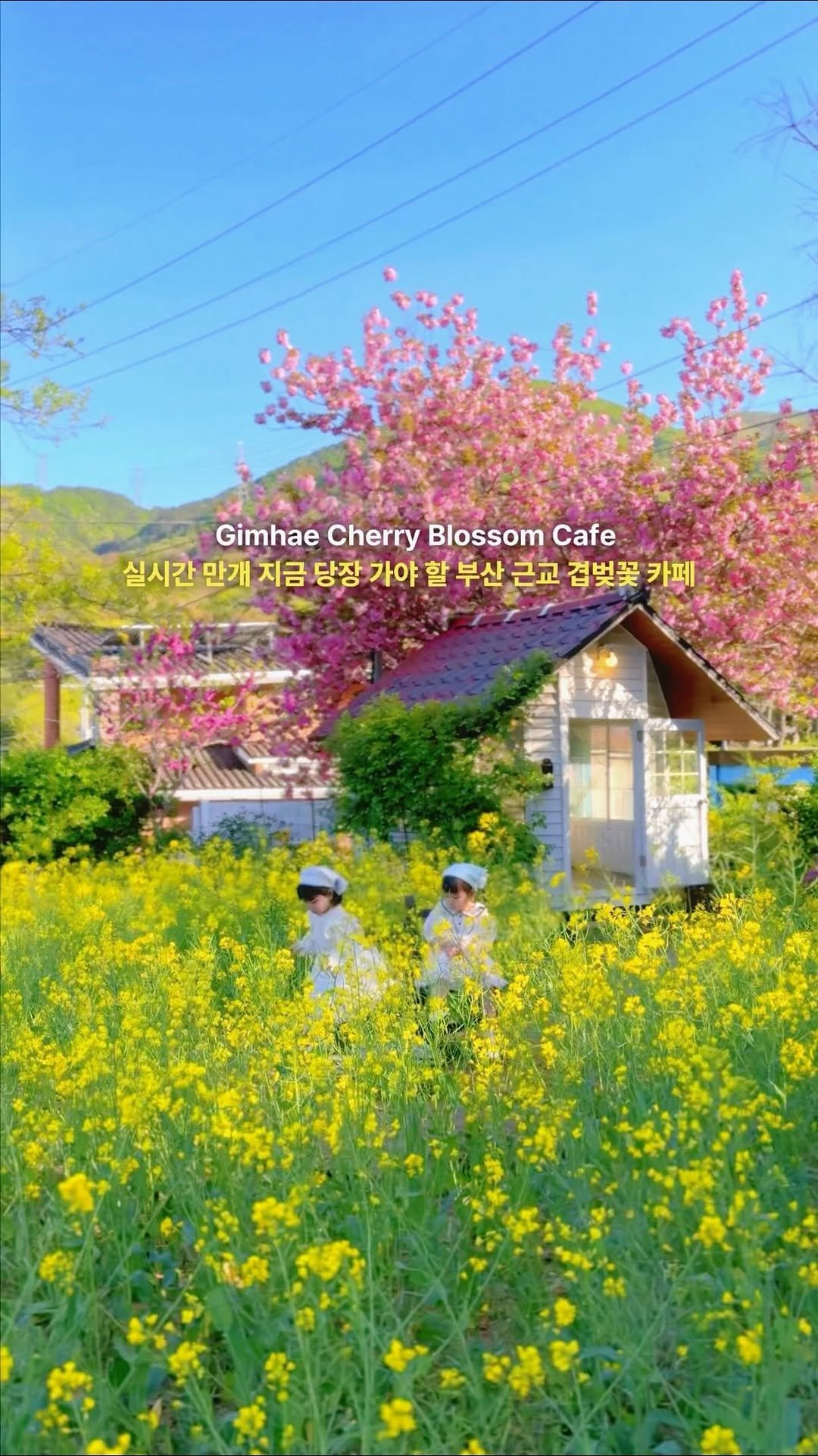 c____chae 게시물 이미지: (저장)지금 당장 가야 할 부산 근교 겹벚꽃 카페🏡🌸

동화 속 분위기의 오두막 앞...