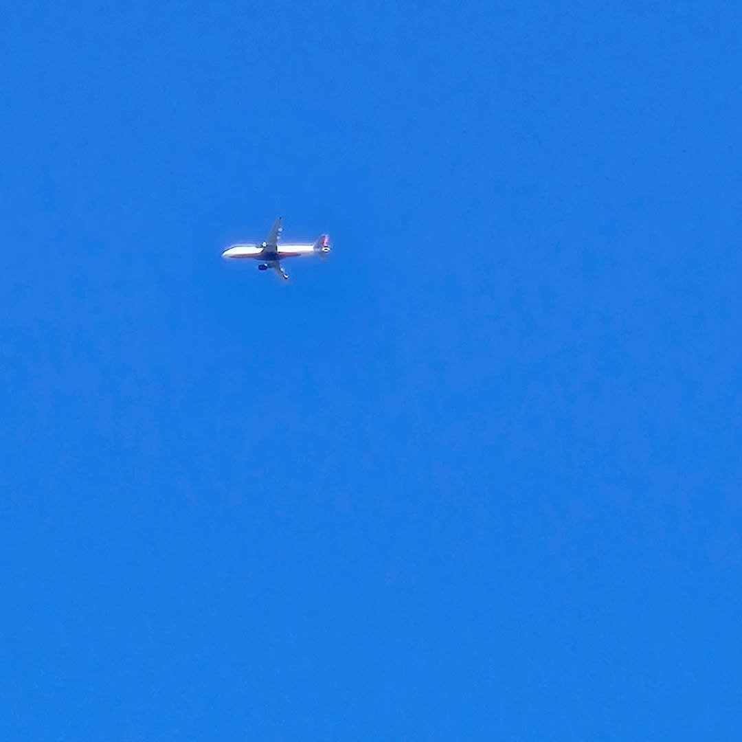 Photo by 강찬희 on November 02, 2025.